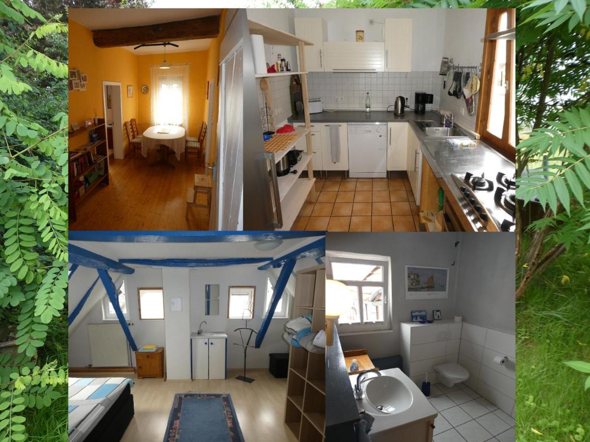 Am Backhaus Apartment Krofdorf-Gleiberg Екстериор снимка